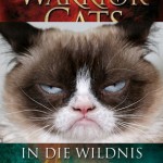 warrior cats